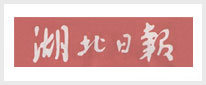 湖北日报